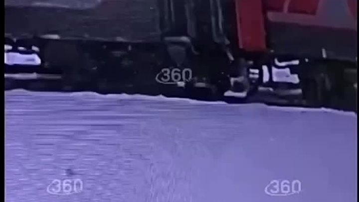 Проводница выбросила из поезда чужого кота во время стоянки в Кирове.