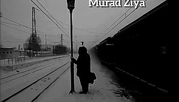 Murad Ziya