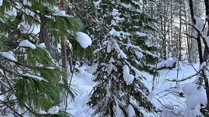  Красота Томской обл…