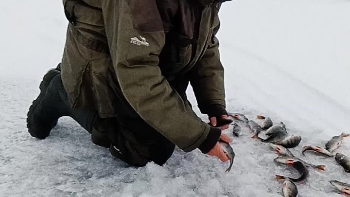 Эксклюзивные советы и секреты для зимней рыбалки на льду в Одноклассниках