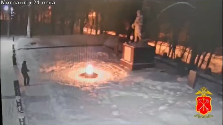 Дети мигрантов закидали снежками Вечный огонь в Петербурге