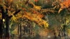 Осенний сад  Вик. Анна Герман.