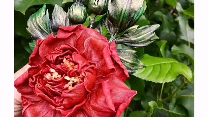 Цветы из кожи. Староанглийская роза 🌹
Брошь! 