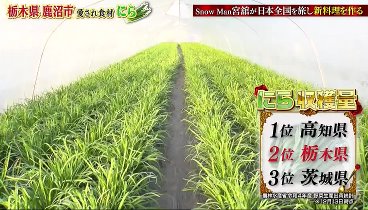 黄金のワンスプーン！ 231218 動画 アンタ柴田とにらグルメ堪能 | 2023年12月18日