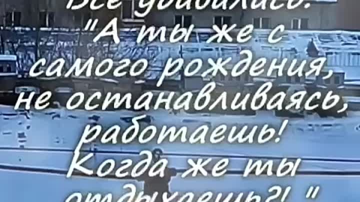     2024 02 06    Когда же ты отдыхаешь ?!  "Я отдыхаю, когда с ...