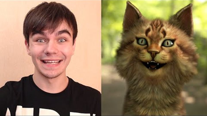 Как выглядят коты ютуберы Как выглядят коты ютуберы
