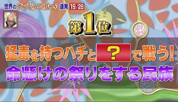 所でナンじゃこりゃ！？ 231222 動画 世界の不思議を各国で街頭調査 | 2023年12月22日