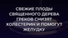 Свежие оливки снизят холестерин и уменьшат воспаление желудк...