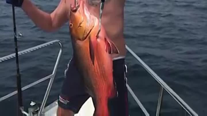 Рыбалка Мальдивы