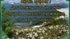 &quot;По заповедным тропам Красной Поляны&quot;. Проект. #позаповедным...