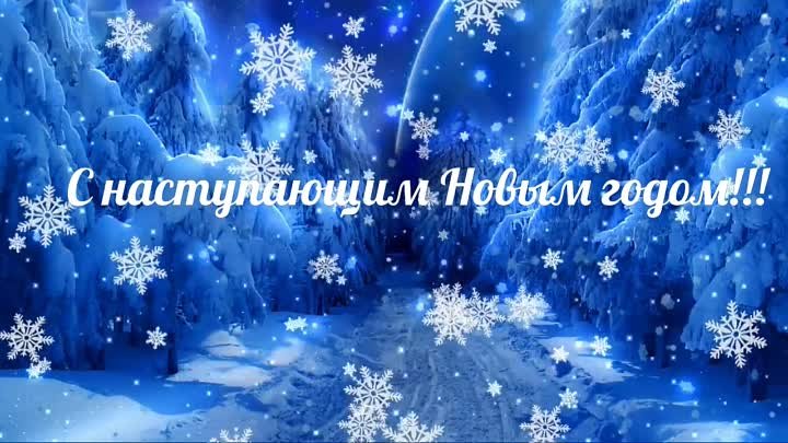 Футаж Новогодняя Елка С Огоньками В Лесу (online-video-cutter.com) (1)