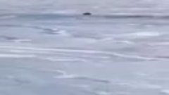 Два автомобиля ушли под лед на Красноярском водохранилище в ...