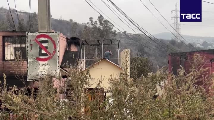 Последствия пожаров_Чили