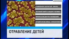 Обнародованы причины заболевания детей в Кисловодске