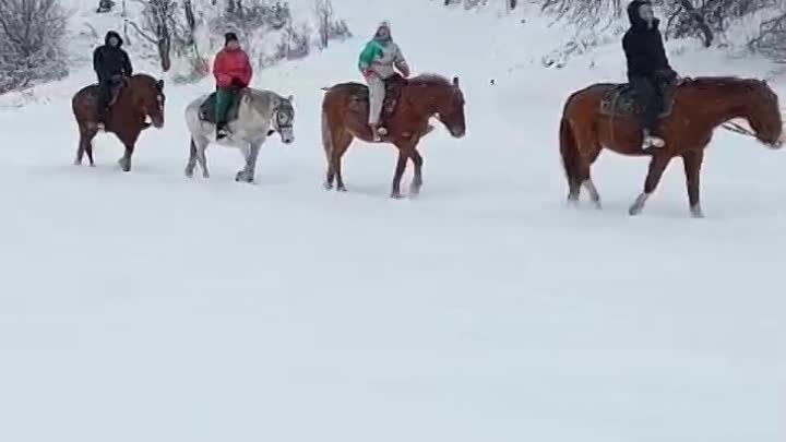 Прогулки на лошадях.mp4