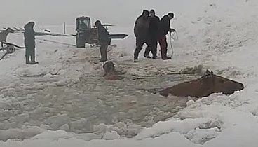 Ермеры спасают лошадей, которые провалились под лед