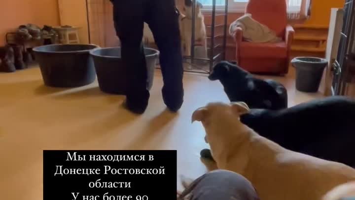 Видео