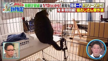 嗚呼‼みんなの動物園 231230 動画 | 2023年12月30日