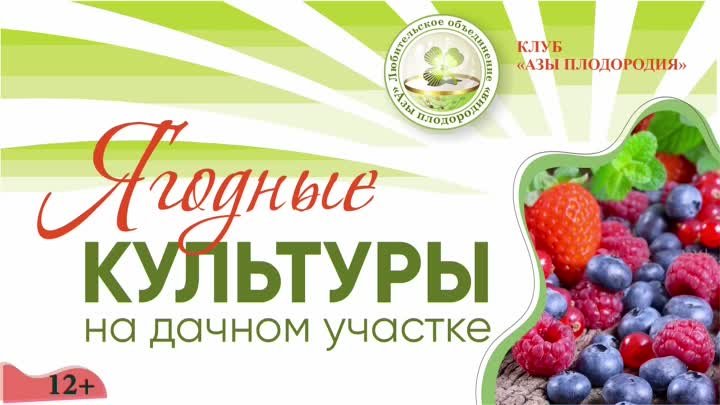 Ягодные культуры 3