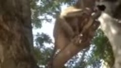 Видео прикол обезьяна играется с кошкой
