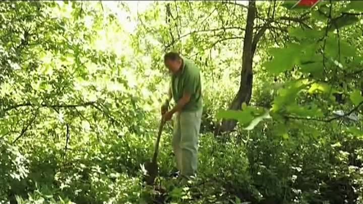 ТВ Усадьба. Огородные вредители. Майский жук (2012)