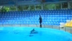 Донецкий дельфинарий