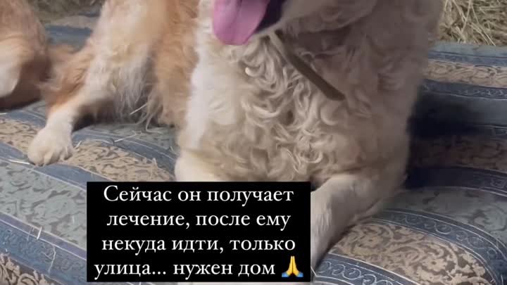 Видео