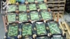 В Горецком районе задержали 40 тонн груш