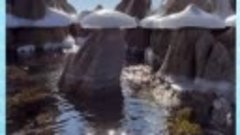 😊 Ледяные грибочки в Приморском крае
