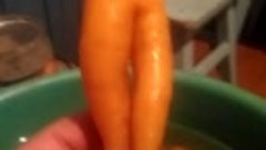 Осенний урожай...морковь...