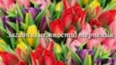 ocen-krasivoe-pozdravlenie-s-8-marta-muzikal-naya-otkritka_(...