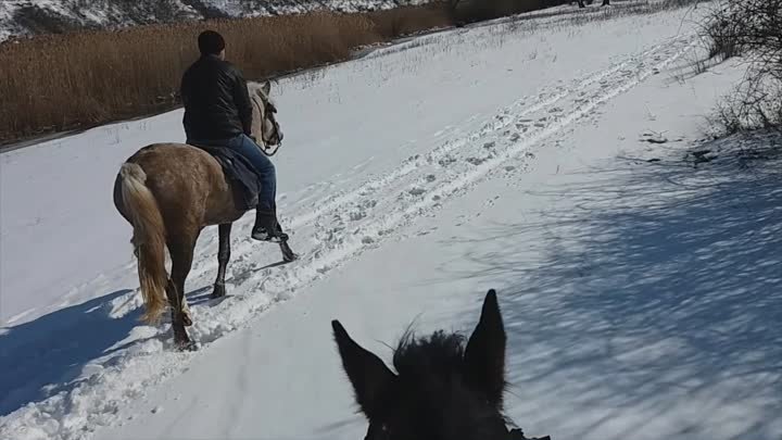 Călare pe cai, iarna.