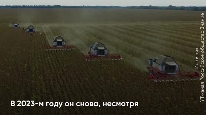 О развитии сельского хозяйства в РФ