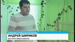 Уникальных бабочек привезли в Карачаево-Черкесию