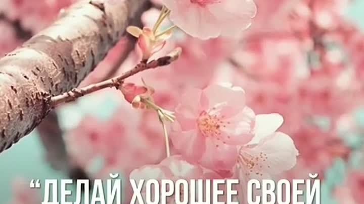 🍃«Чьи родители довольны детьми, тому открываются врата Рая. Тому, н ...