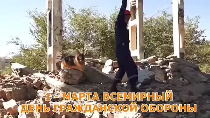 1 марта День гражданской обороны 