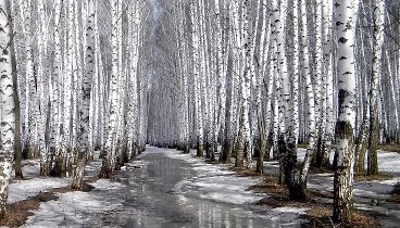 А завтра будет весна - Игорь Кибирев