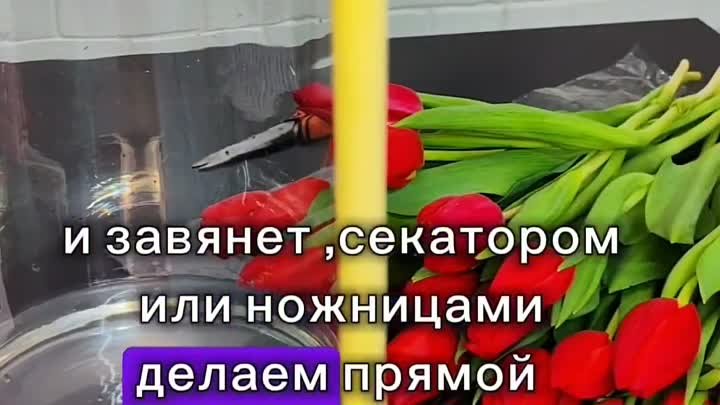 Ваши тюльпаны будут радовать вас дольше. 🌷