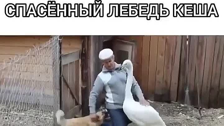 Сколько теплоты!