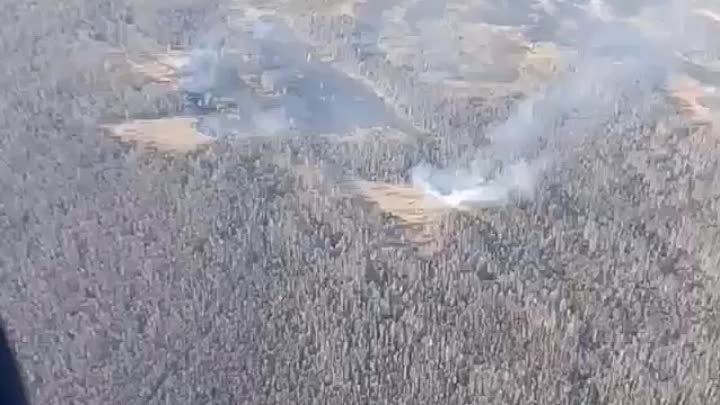 Первые лесные пожары 2024