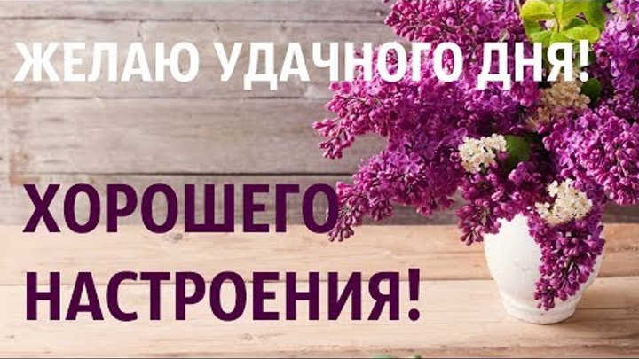 Продуктивного дня и хорошего настроения картинки Продуктивного дня и хорошего настроения картинки