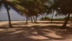 Laid Back - Sunshine Reggae (Official Video) VideoMusic