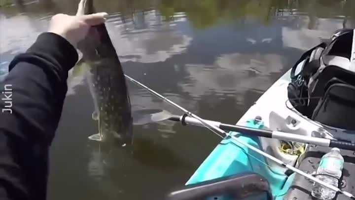 Неудачи на рыбалке