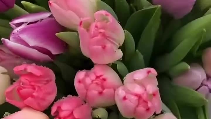 Тюльпаны к 8 марта 🌷 По всем вопросам пишите в личные сообщения ☺️