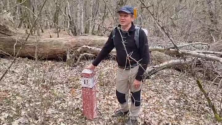 Один из методов ориентирования в лесу.