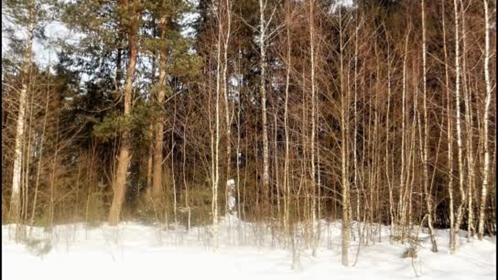 пос. СТАРЬ. 07.02.2016 г.   -  ОДНА  ЗИМА  ПОДАРИЛА  ТЕБЯ , ДРУГАЯ   ...