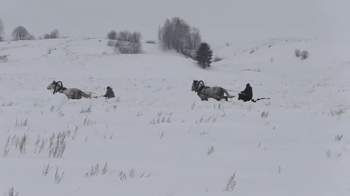 17е межмуниципальные конные скачки 2024 - с.Богородск