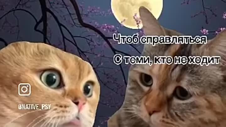 Ты к психологу ходишь? 