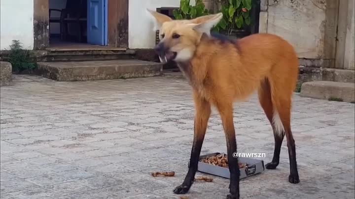 Видео от Хочу знать Наука и факты