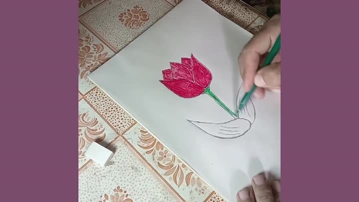 картинка цветка тюльпана расми гули лола